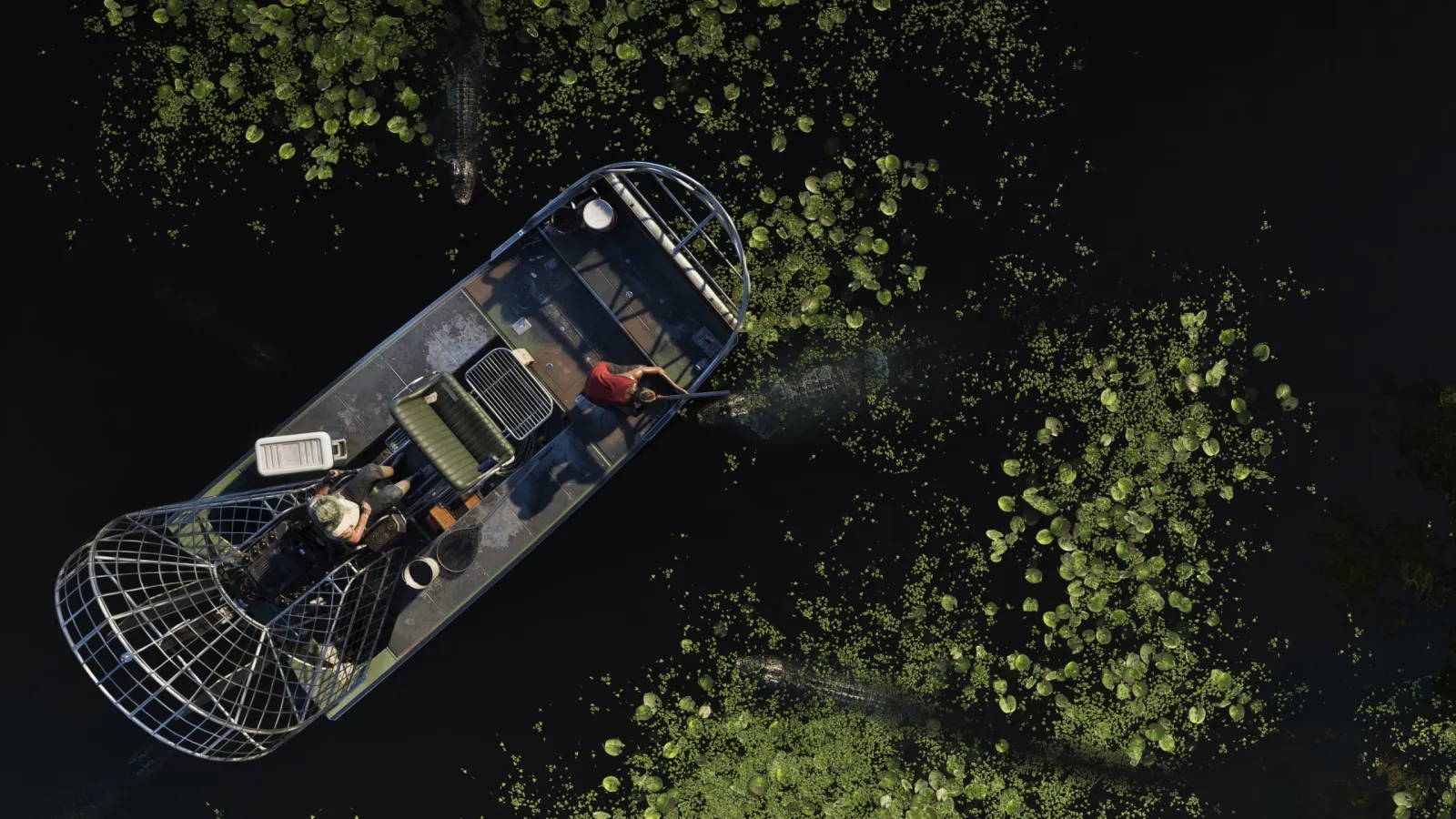 Top-down aerial of an airboat gliding through dark lily-pad swamp water in the GTA 6 Everglades
